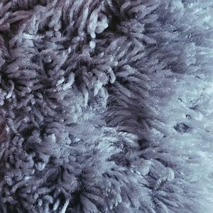 Shifting Perception (EP)