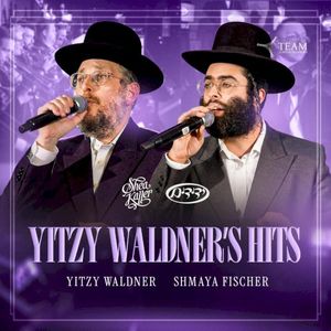 Yitzy Waldner's Hits