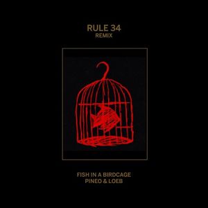 Rule #34 (Remix)