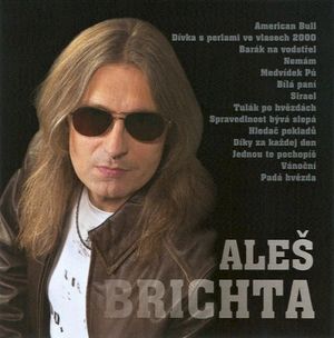 Aleš Brichta