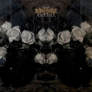 Amnesia