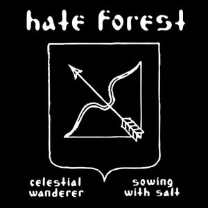 Celestial Wanderer / Sowing with Salt (EP)