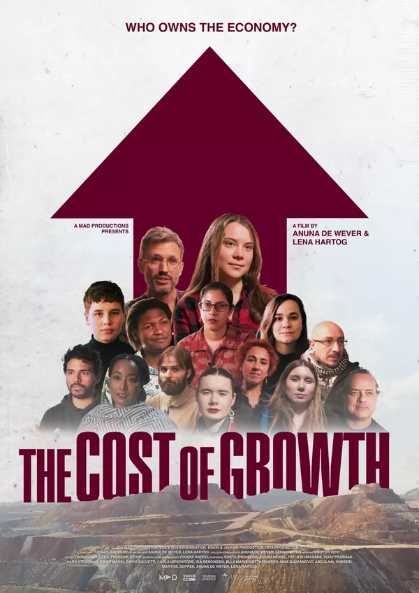 The Cost of Growth
