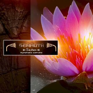 Seshen (Single)