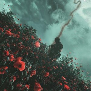 Thin Distance (Single)