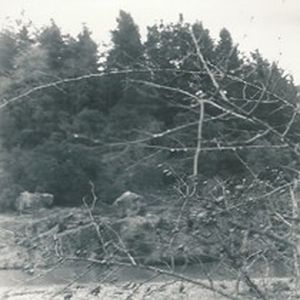 Acidal (EP)