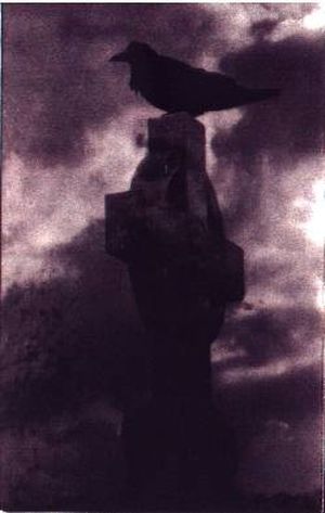 Lost in Shadow Grim
