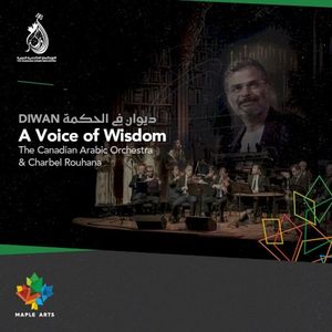 A Voice Of Wisdom