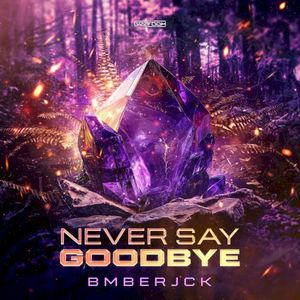 Never Say Goodbye (Single)