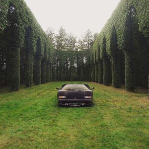 RIGHT NOW (Single)