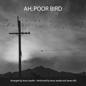 Ah, Poor Bird (Single)