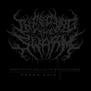 Reshaping Cellular Structures (EP)