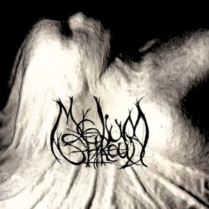 Mycelium Shroud (EP)