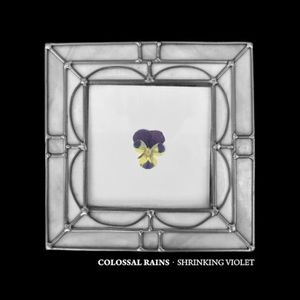 Shrinking Violet (EP)