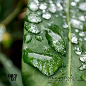 Bosque (EP)
