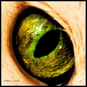 Zadan (EP)