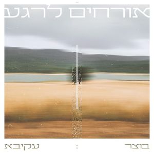 אורחים לרגע (Single)