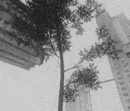 image-https://media.senscritique.com/media/000023729496/0/fallgrade.jpg