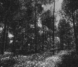 image-https://media.senscritique.com/media/000023729497/0/fallgrade.jpg