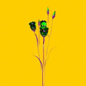 Escape (Single)