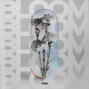 Bloom
