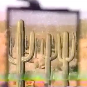 RoadHouse (Single)