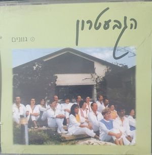 גוונים