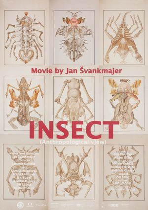 Insecte