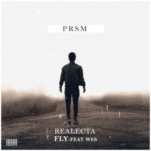 Fly (Single)
