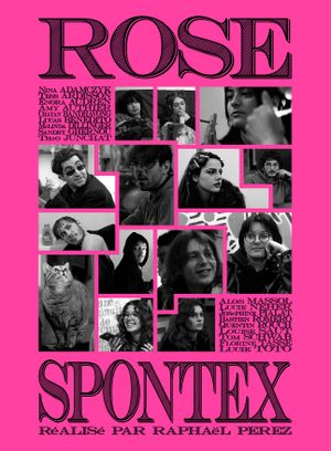 Rose Spontex