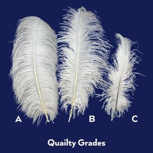feathers (Single)
