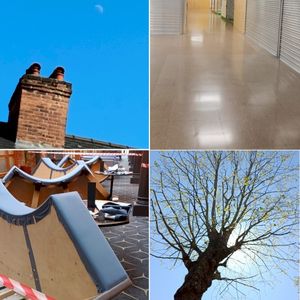 decay quadtych