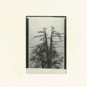 demos (EP)
