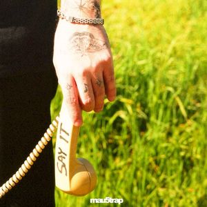 Say It (Single)