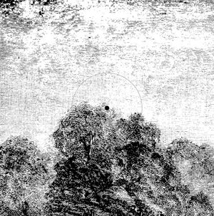 Deep Consciousness (Single)