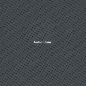 Plain