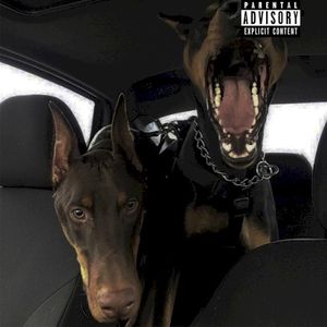 БОЛЕН ТРАПОМ (Single)