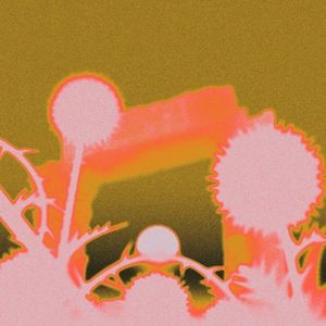 Capture/Release (Single)