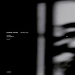 Parallel State (EP)