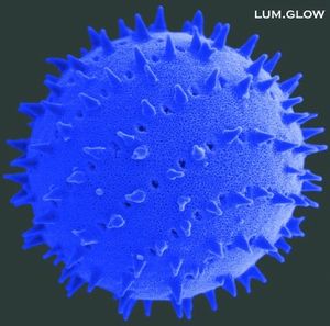 Glow (EP)