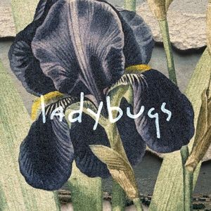 Ladybugs (Single)