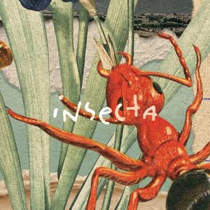 Insecta (Single)