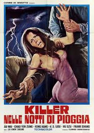 Rainy Nights Killer