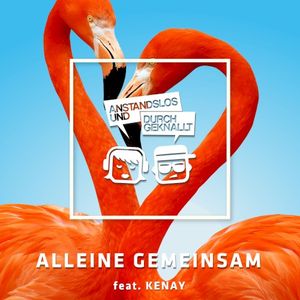 Alleine gemeinsam (Single)