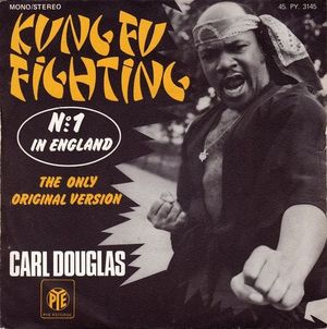 Kung Fu Fighting