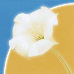 Vanishing Path (EP)