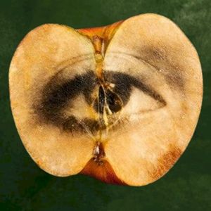 Reborn (Single)