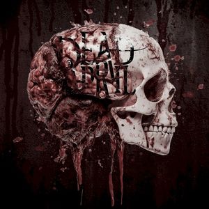 Brain Tissue (Single)