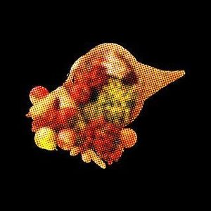 Cornucopia