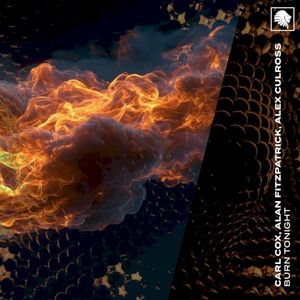 Burn Tonight (Single)